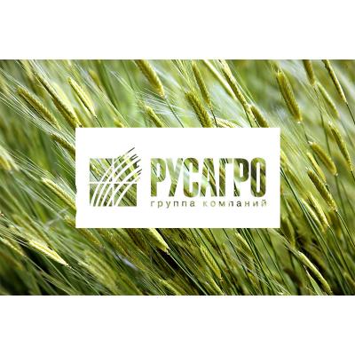 РУСАГРО отчет за 3-й квартал 2018