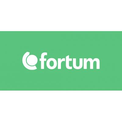 Fortum отчет за 2018. Финские крепкие парни в ожидании