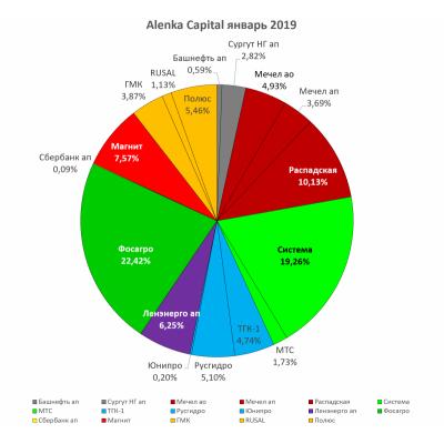 Мой портфель ликвидных акций январь 2019. Рассуждения об инвестировании, поиске идей и рисках
