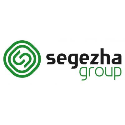 Segezha Group отчет за 4-й квартал 2018 года по МСФО