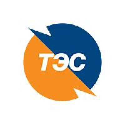 Томскэнергосбыт отчет за 2018 по РСБУ. Перед принудительным выкупом
