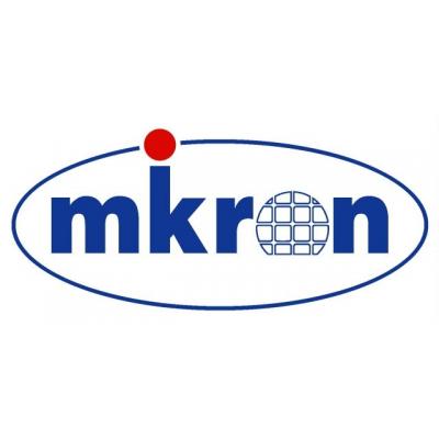 Микрон отчет за 2018 по РСБУ. "Русский Intel" тормозит