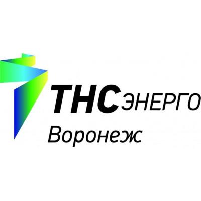 ТНС-Энерго Воронеж отчет за 2018 по РСБУ. Начинаем разбор энергосбытов ТНС
