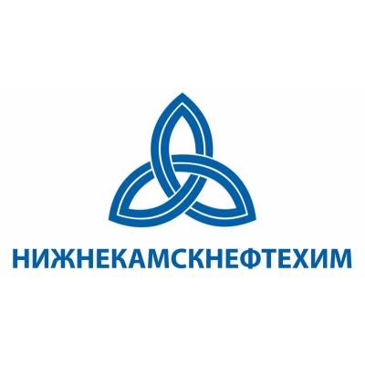 НКНХ отчет за 2-й квартал 2020 по РСБУ. Дивиденды в долг.