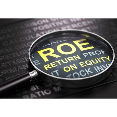Использование ROE на примере Amazon и Сбербанка (и Магнит бонусом)