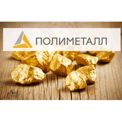 Банк " Открытие" полностью вышел из Polymetal, реализовав оставшиеся 0,5% в рамках опциона - Задорнов