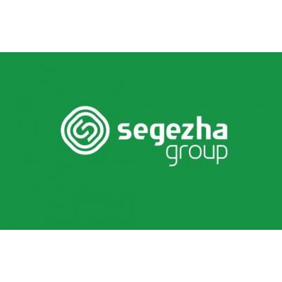 Segezha Group отчет за 4-й квартал 2020. Отчет в преддверии IPO