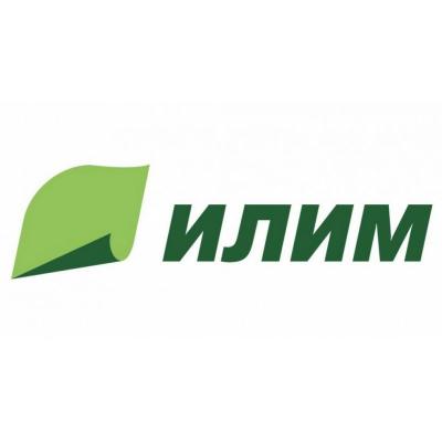Группа Илим отчет за 2020 по РСБУ. Внебиржевая лесная фишка